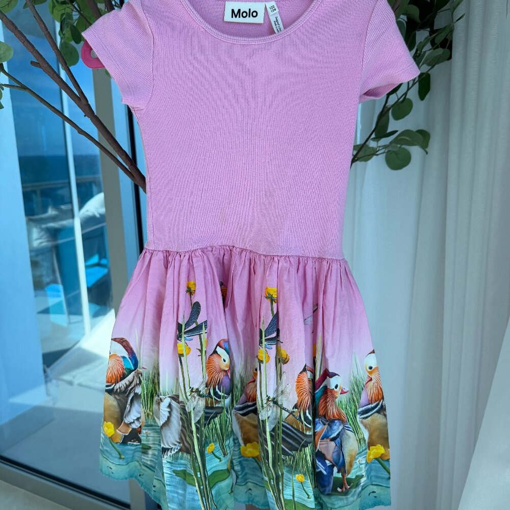 Pink Molo Parakeets 122/128 7/8